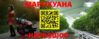 Альфа ПВП Севастополь