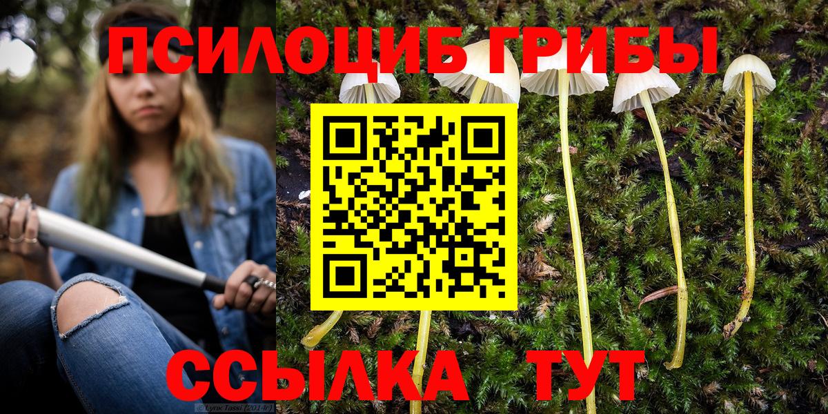 Саранск  Галлюциногенные грибы GOLDEN TEACHER  Галлюциногенные грибы мухоморы  купить наркотики сайты  Вход с VPN 