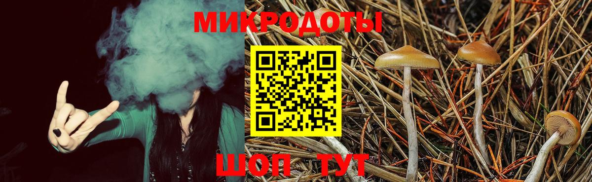 Псилоцибиновые грибы мицелий Саранск